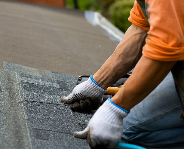 Best Storm Damage Roof Repair  in Kendall West, FL